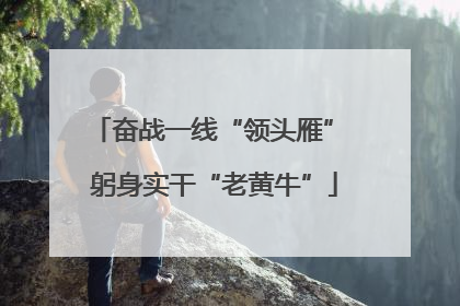 奋战一线“领头雁” 躬身实干“老黄牛”