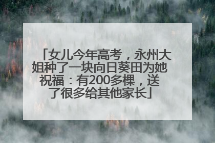 女儿今年高考，永州大姐种了一块向日葵田为她祝福：有200多棵，送了很多给其他家长