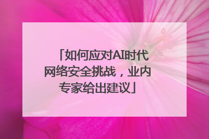 如何应对AI时代网络安全挑战，业内专家给出建议