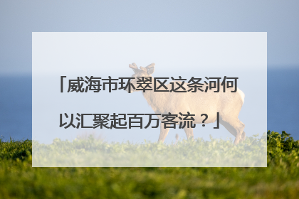 威海市环翠区这条河何以汇聚起百万客流？