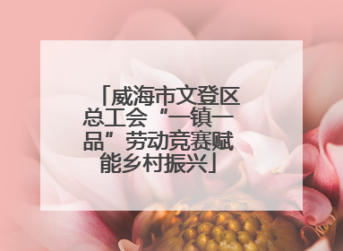 威海市文登区总工会“一镇一品”劳动竞赛赋能乡村振兴