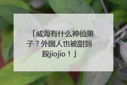威海有什么神仙果子？外国人也被甜到跺jiojio！
