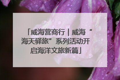 威海营商行｜威海“海天驿旅”系列活动开启海洋文旅新篇