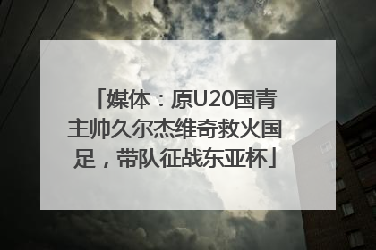 媒体：原U20国青主帅久尔杰维奇救火国足，带队征战东亚杯