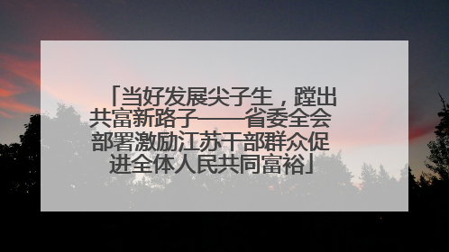 当好发展尖子生，蹚出共富新路子——省委全会部署激励江苏干部群众促进全体人民共同富裕