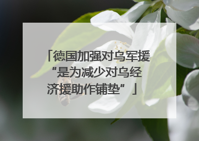 德国加强对乌军援 “是为减少对乌经济援助作铺垫”