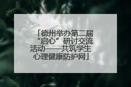 德州举办第二届“启心”研讨交流活动——共筑学生心理健康防护网