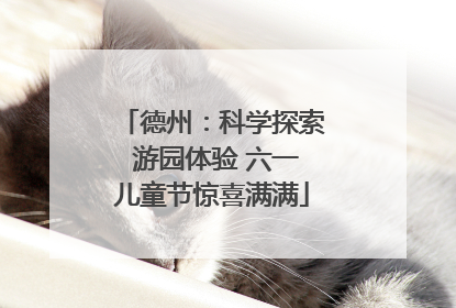 德州：科学探索 游园体验 六一儿童节惊喜满满
