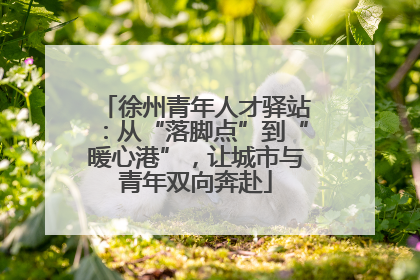 徐州青年人才驿站：从“落脚点”到“暖心港”，让城市与青年双向奔赴