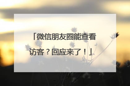 微信朋友圈能查看访客？回应来了！