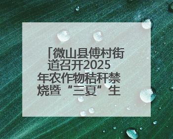 微山县傅村街道召开2025年农作物秸秆禁烧暨“三夏”生产工作会议