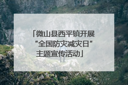 微山县西平镇开展“全国防灾减灾日”主题宣传活动