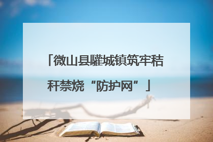 微山县驩城镇筑牢秸秆禁烧“防护网”