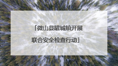 微山县驩城镇开展联合安全检查行动
