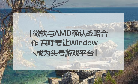 微软与AMD确认战略合作 高呼要让Windows成为头号游戏平台