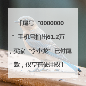 尾号“0000000”手机号拍出61.2万，买家“李小龙”已付尾款，仅享有使用权