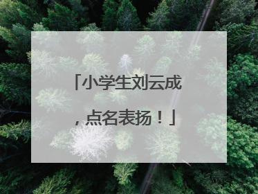 小学生刘云成，点名表扬！