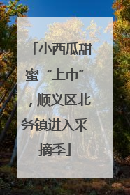 小西瓜甜蜜“上市”，顺义区北务镇进入采摘季