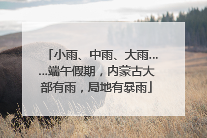 小雨、中雨、大雨……端午假期，内蒙古大部有雨，局地有暴雨