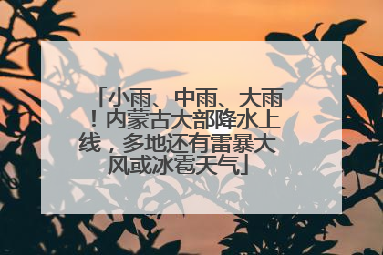 小雨、中雨、大雨！内蒙古大部降水上线，多地还有雷暴大风或冰雹天气