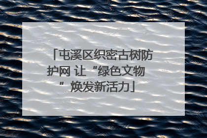 屯溪区织密古树防护网 让“绿色文物”焕发新活力