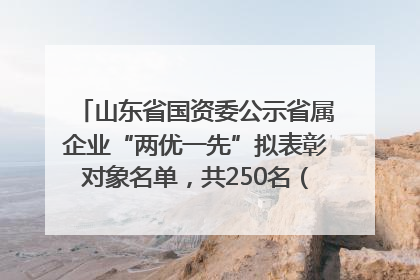 山东省国资委公示省属企业“两优一先”拟表彰对象名单，共250名（个）党员和党组织