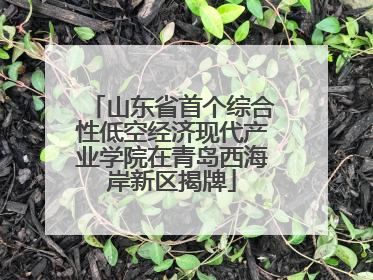 山东省首个综合性低空经济现代产业学院在青岛西海岸新区揭牌