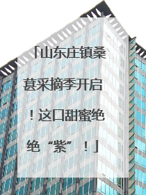 山东庄镇桑葚采摘季开启！这口甜蜜绝绝“紫”！