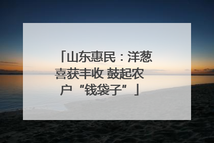 山东惠民：洋葱喜获丰收 鼓起农户“钱袋子”
