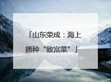 山东荣成：海上播种“致富菜”