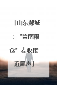 山东郯城：“鲁南粮仓”麦收接近尾声