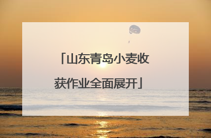 山东青岛小麦收获作业全面展开