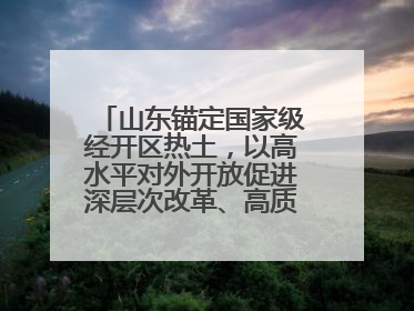 山东锚定国家级经开区热土，以高水平对外开放促进深层次改革、高质量发展