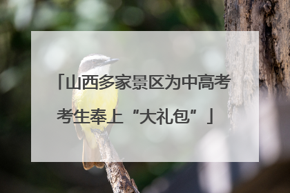 山西多家景区为中高考考生奉上“大礼包”