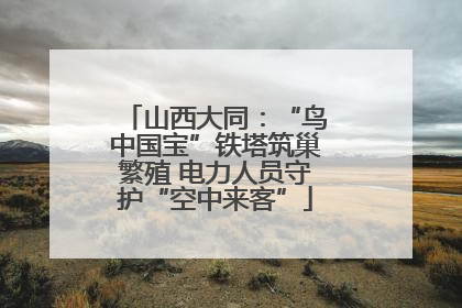 山西大同：“鸟中国宝”铁塔筑巢繁殖 电力人员守护“空中来客”