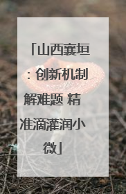 山西襄垣：创新机制解难题 精准滴灌润小微