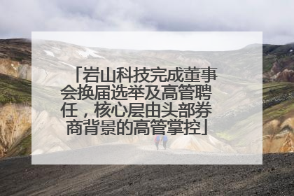 岩山科技完成董事会换届选举及高管聘任，核心层由头部券商背景的高管掌控