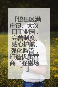 岱岳区满庄镇、大汶口工业园：完善制度、贴心护航、强化监管，打造优质营商“强磁场”
