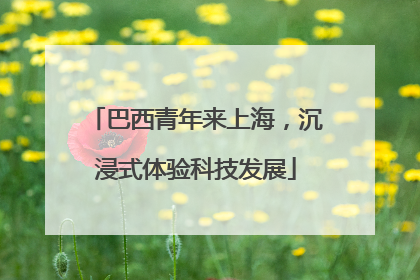巴西青年来上海，沉浸式体验科技发展