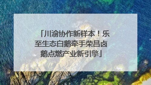 川渝协作新样本！乐至生态白鹅牵手荣昌卤鹅点燃产业新引擎