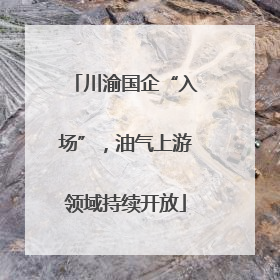 川渝国企“入场”，油气上游领域持续开放