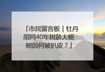 市民留言板｜牡丹胡同40年树龄大杨树因何被扒皮？