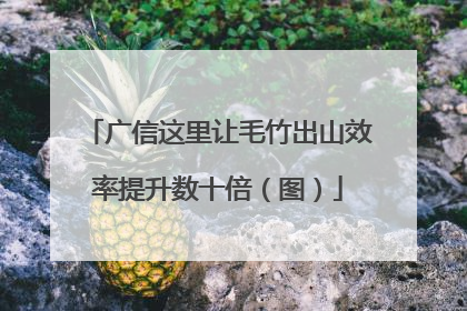 广信这里让毛竹出山效率提升数十倍（图）