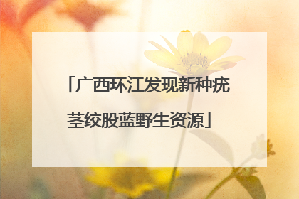 广西环江发现新种疣茎绞股蓝野生资源