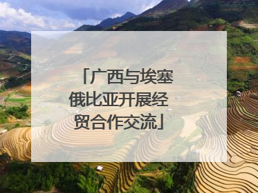 广西与埃塞俄比亚开展经贸合作交流