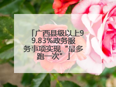 广西县级以上99.83%政务服务事项实现“最多跑一次”