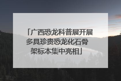 广西恐龙科普展开展 多具珍贵恐龙化石骨架标本集中亮相