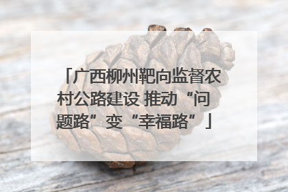 广西柳州靶向监督农村公路建设 推动“问题路”变“幸福路”