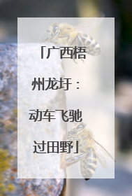 广西梧州龙圩：动车飞驰过田野