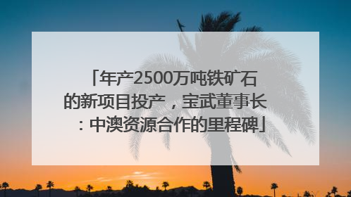 年产2500万吨铁矿石的新项目投产，宝武董事长：中澳资源合作的里程碑
